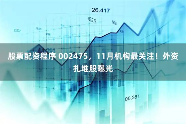 股票配资程序 002475,11月机构最关注!外资扎堆股曝光